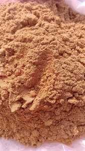 Mimosa Pudica Powder From India - Product Image 3