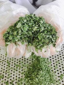 Feuilles de Moringa séchées pour tisane, emballage en vrac OEM, extrait de poudre de Moringa riche en vitamines - Product Image 4