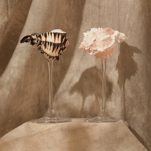 Verres à vin et à eau en verre avec coquillages marins naturels, prix de gros abordable - Product Image 1