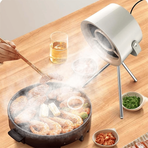 Campana Extractora Pequeña para Barbacoa y Ahumador de Exterior - Product Image 1