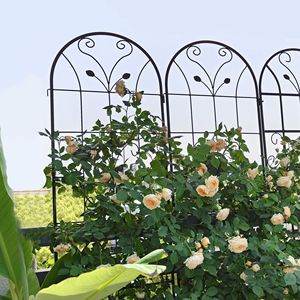 Set di 4 Tralicci da Giardino in Metallo Antiruggine 220 cm x 50 cm Neri, Supporto per Fiori da Esterno per Piante Rampicanti - Product Image 4