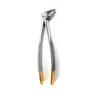 Pinzas de extracción dental superior anterior TC con punta de carburo de tungsteno y mango dorado, alicates quirúrgicos para dientes, OEM personalizado por Grip Surgical - Product Image 1