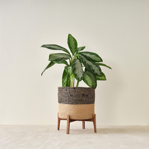 Handmade Wooden <b>Plant</b> Stand with Woven Basket Planter for Indoor <b>Plants</b> Living Room and Home Decoration - Product Image 5