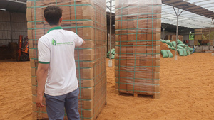 Turba de Coco Orgánica en Polvo, Biodegradable, para Cultivo, Suministro a Granel desde Vietnam - Product Image 4
