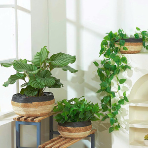 High Quality Eco Friendly Handwoven Water Hyacinth Plant <b>Pot</b> Stripe 2 color Best Selling for Garden or Indoor & Outdoor Decor - Product Image 5