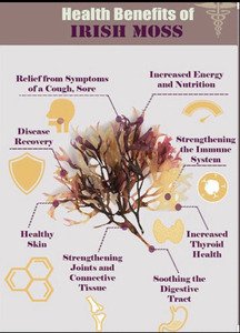 2023 Premium Quality Vietnamese Flavored Chopped Seamoss Unadulterated Dried Seasoned - Product Image 3