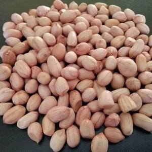 Vente Flash : Arachides en Gros de Qualité Supérieure, Prêtes à l'Expédition pour l'Export - Product Image 1