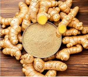 Best Quality Ginger Powder Premium Dried Ginger <b>Root</b> Powder Food Grade Ingredient for Culinary Use Beverages Seasoning and Daily - Product Image 4