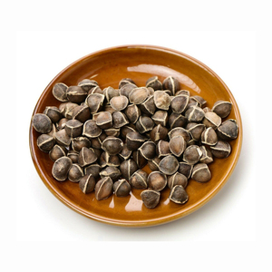 Graines de Moringa, semences agricoles naturelles pour la plantation - Product Image 5