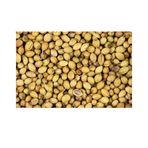 Semillas de Cilantro a Granel, Secas, Crudas, Naturales, Sin OMG, 25 kg, para la Industria de Especias y Uso Culinario - Product Image 5