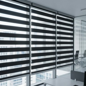 Zebra Dual Layer Roller Blinds Horizontal Textile Sheer <b>Light</b> Filtering Minimalist Design - Product Image 2