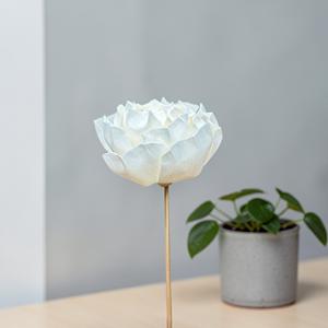 VADEE Craft Fleurs artisanales durables en bois de Sola, couleur crème vintage, taille 8,5 cm, avec tige en fibre de plantes de Sesbania Phra - Product Image 5