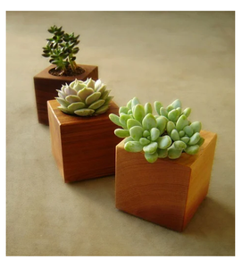 Maceta Cuadrada de Madera para Jardín Interior y Exterior, Decoración para Exteriores, Macetas de Madera - Product Image 3