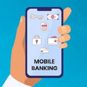 Outil de gestion d'applications Super App, version Internet avec support numérique en ligne, banque en ligne mobile pour Web, Mac, Linux et DOS - Product Image 5