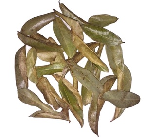 Simplifique su rutina de bienestar con hojas secas de Guanábana - Product Image 1