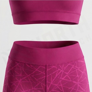 Conjunto Deportivo para Mujer, Leggings y Bra Deportivo sin Costuras, Tallas Grandes, Ropa Deportiva para Gimnasio, Yoga y Fitness - Product Image 5