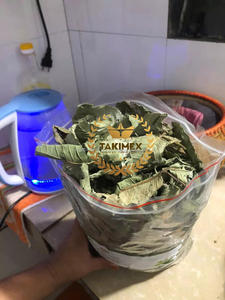 Cantidad a granel de Vietnam, hojas de Guanábana secas a máquina, 500g por bolsa, venta al por mayor para té y productos de salud - Product Image 4