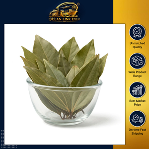 Hoja de Laurel de Primera Calidad para Cocinar, Procesamiento de Alimentos y Distribución al por Mayor - Product Image 2