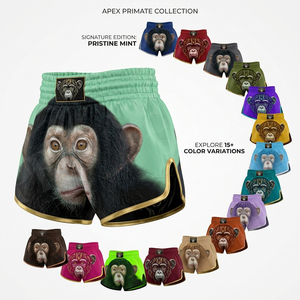 Shorts de Muay Thai personnalisés avec logo OEM ODM pour hommes, vente en gros, design pour entraînement de combat MMA, séchage rapide, grandes tailles OEM - Product Image 1