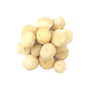 Macadamia <b>Nuts</b> Wholesale 10kg Bulk Macadamia <b>Nuts</b> - Product Image 3
