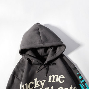 Sudadera con Capucha Unisex, 100% Algodón, Forro Polar Ecológico, Personalizada con Estampado 3D, Invierno, Talla Grande, Logotipo Tejido para Hombre - Product Image 5