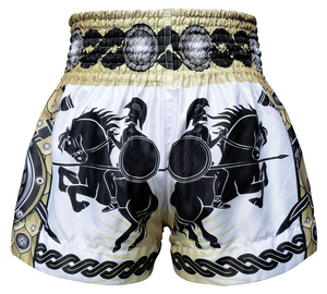 Pantalones cortos profesionales de Muay Thai con material satinado de primera calidad, ligeros, de alto rendimiento y ajuste cómodo para artes marciales. - Product Image 2