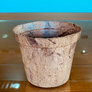 Macetas Minimalistas de Fibra de Coco al por Mayor - Biodegradables, Ecológicas y Duraderas de Eco2go Vietnam - Product Image 4