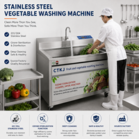 Machine de lavage de légumes à bulles d'air en acier inoxydable, commerciale, automatique, pour fruits et légumes, vente en gros d'usine