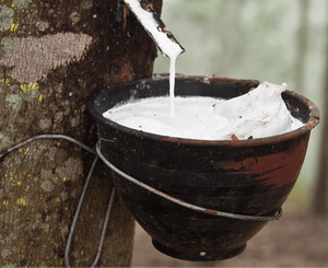 Proveedor de látex de caucho natural blanco a granel, calidad premium, alta viscosidad para uso industrial y médico, exportación. - Product Image 1