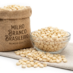 Premium Brazilian White Corn Snack Food Industry Corn Grain <b>Popcorn</b> Alternative Maize Bulk Supply Export Quality Food Grade - Product Image 6