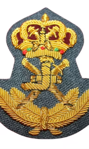 Insignias y Parches Personalizables para Uniformes con Hilo de Oro Bordado a Mano OEM, Insignia para Blazer Personalizada con Hilo de Oro - Product Image 6