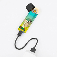 Briquet USB Métallique Ultra-Fin 15K Nouveauté, Accessoire Électronique Créatif Rechargeable et Étanche à la Flamme avec Élément Chauffant Dissimulé