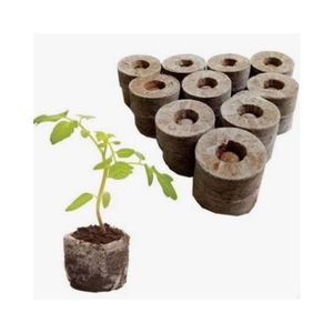 Semences de Démarrage de Haute Qualité Jiffy CHIP Coco Peat Coir Terreau Écologique pour Jardinage 99 GD Gold Luna - Product Image 3