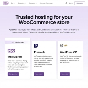 Services de boutique WooCommerce basés sur l'IA de nouvelle génération et solutions de développement de sites e-commerce personnalisés pour la croissance du commerce de détail - Product Image 4