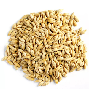 <b>Barley</b> Grains Premium <b>Barley</b> Seeds/Animal feed <b>barley</b>/bulk - Product Image 1