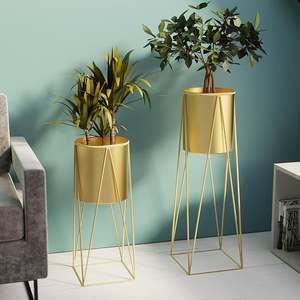 Support de Plante en Métal Doré de Luxe, Porte-Pot de Fleurs d'Intérieur Moderne, Décoration de Salon, Présentoir sur Pied Haut en Fil de Fer Style Nordique - Product Image 6