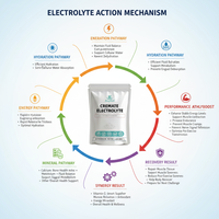 Kangherb Vente en gros Poudre d'électrolytes de haute qualité Hydratation rapide et soutien énergétique Non-OGM et sans gluten