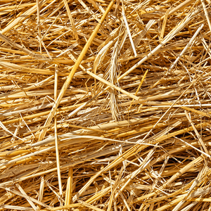 Standard Grade Barley <b>Straw</b> Hay <b>Bales</b> For Cattle Fiber Feed Stored In Cool Dry Place For Sale Chewing and Feeding - Product Image 4