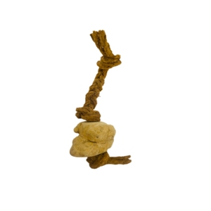 ไม้กาแฟธรรมชาติสำหรับสุนัขกัดแทะ ผสมใยมะพร้าวเพื่อสุขภาพฟัน - Product Image 3
