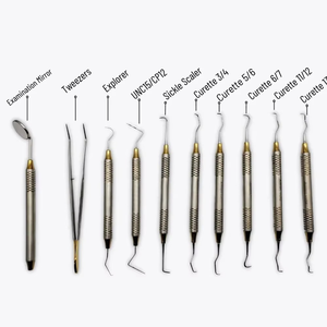 Kit de Instrumentos Dentales Profesionales para Profilaxis y Limpieza, de Acero Inoxidable, Venta al Por Mayor - Product Image 2
