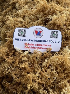 Musgo Irlandés de Origen Vietnamita – Kappaphycus Alvarezii (Cottonii) y Eucheuma Denticulatum (Spinosum) - Product Image 6