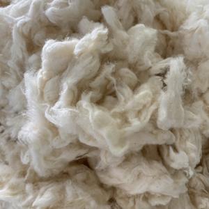 Algodón Combernoil limpio, marca Nithya, cantidad mínima 23 toneladas +/- 10. Contacte a la Sra. Kate +84387097963 - Product Image 4