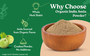 Amla Powder 99% Fine Grade Indian Gooseberry Seed <b>Extract</b> in Bottle Bulk Supply for Food Beverage Nutraceutical Manufacturers - Product Image 3