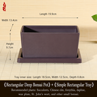 Pot de fleurs pour plantes succulentes, petit pot rectangulaire profond en plastique, décoration pour la maison/le jardin