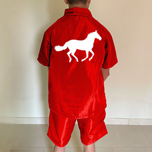 Chaqueta Cortavientos Roja para Hombre con Cierre de Cremallera de un Cuarto y Logotipo de Caballo Estampado con Transferencia Térmica, Ropa Casual de Verano - Product Image 5