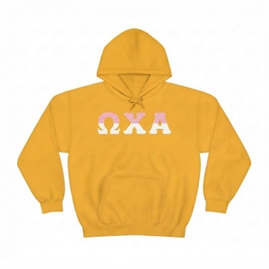 Sudadera con Capucha Color Granate para Mujer, con Estampado de Letras Api en Verde y Rosa en la Parte Delantera, Corte Regular, Sudadera de Algodón para Otoño - Product Image 4