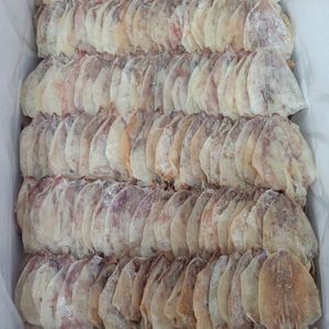 Meilleures ventes : Calamar séché pur et épuré, idéal pour les soupes et les entrées, exportation en gros de produits de la mer - Product Image 5