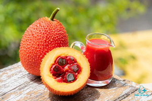 Purée de fruit de Gac biologique surgelée, pulpe de Gac avec graines, à vendre - Product Image 5