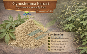 Suministro Directo de Fábrica HGO de Polvo de Hoja de Gynostemma Puro y Natural (Gynostemma pentaphyllum) Grado Alimenticio Gypenosides 98% - Product Image 2
