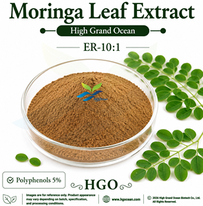 Extrait de feuille de Moringa pur et naturel (qualité alimentaire) ER-10:1 (Polyphénols 5%) – Approvisionnement direct usine HGO - Product Image 1